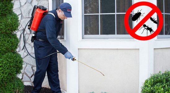 Uzunköprü Akrep İlaçlama böcek ilaçlama ve haşere kontrolü — ilaclama-tr.com